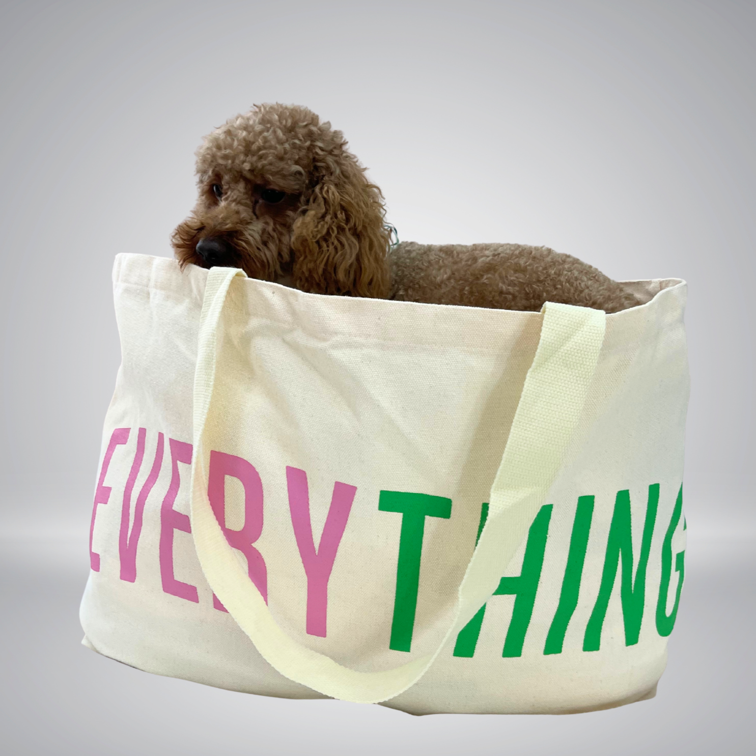 Lil' Bit of Everything Oversized Tote